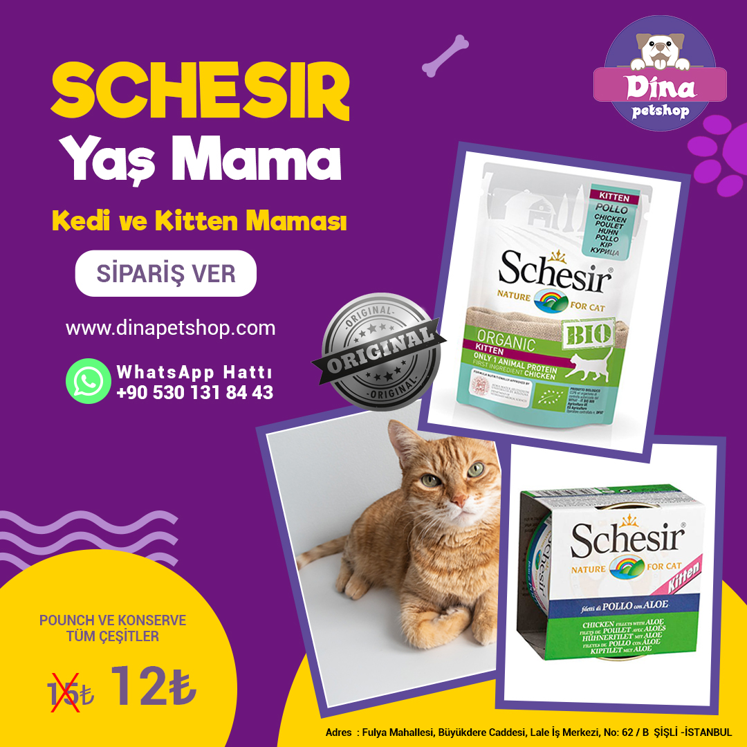 kedi ve kitten mamasi kampanya